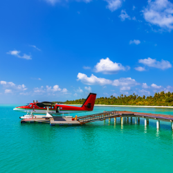 Arrival and Dhow Cruise