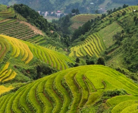 Enjoyable Tour Package of Vietnam