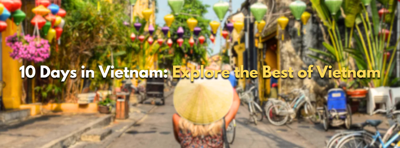 vietnam Tour packages